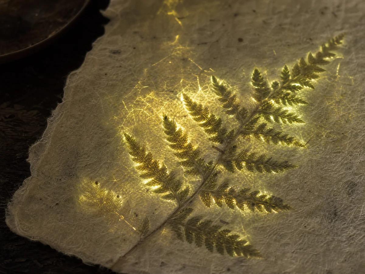Papyroluminescence